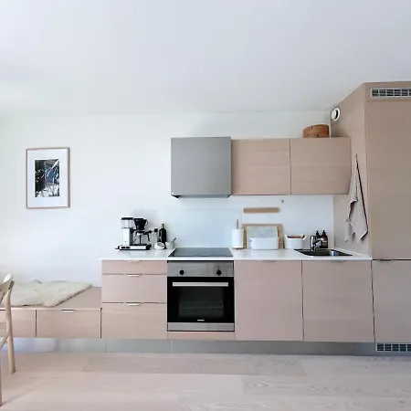 Modern With Big Rooftop Terrace Apartment