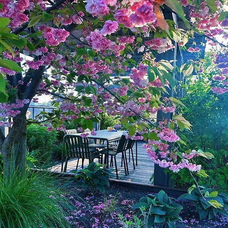 Modern With Big Rooftop Terrace Apartment